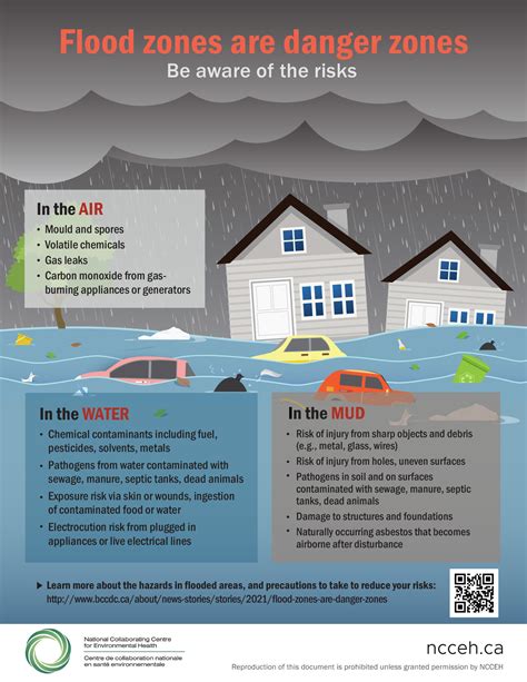 Environmental Risks and Precautions: Navigating the Hazards of Flooded Waters