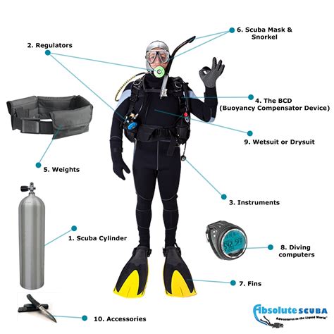 Equipping Yourself for a Thrilling Adventure: Essential Gear for Shark Diving