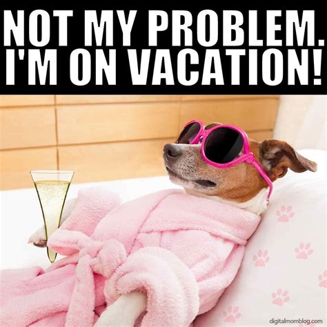 Escape Reality and Dive into the World of Vacation Memes