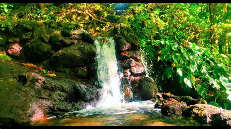 Escaping into Nature's Realm: Waterfall Dreams as an Escape