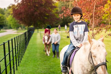 Escaping into a World of Fantasy: Small Horse Riding as a Form of Therapy