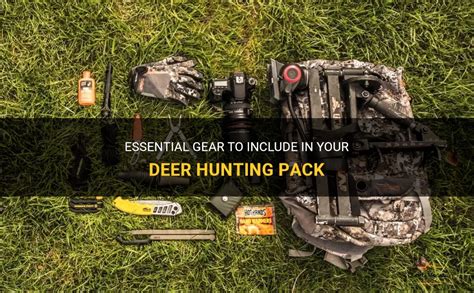 Essential Equipment for Successful Deer Hunting: Must-Have Gear