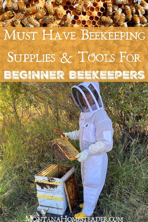 Essential Gear for Beekeeping: A Beginner's Must-Have List