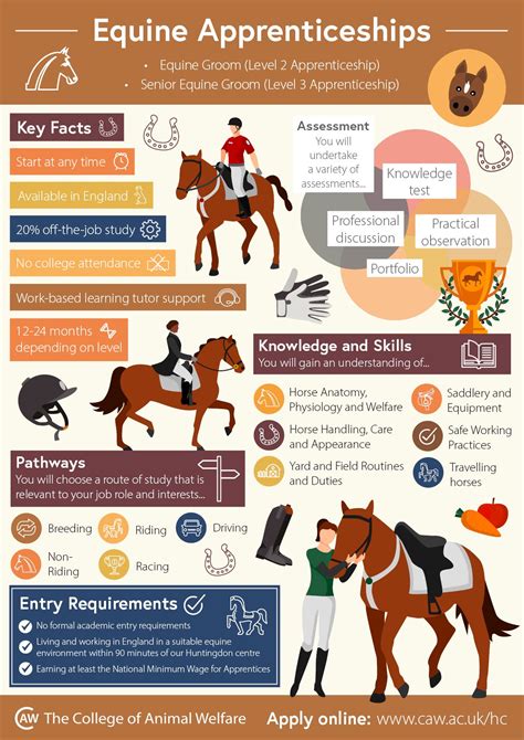 Essential Horse Riding Skills and Proper Equine Care