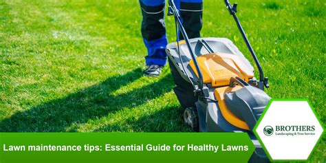 Essential Lawn Care Tips: Nurturing Your Turf for Optimal Growth