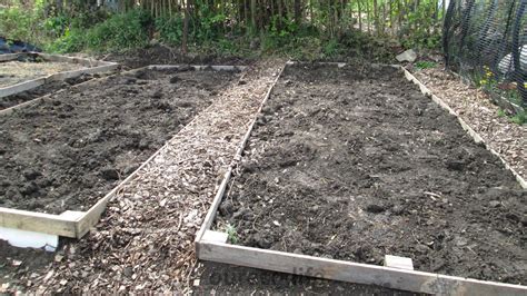 Essential Steps for Preparing Your Potato Beds