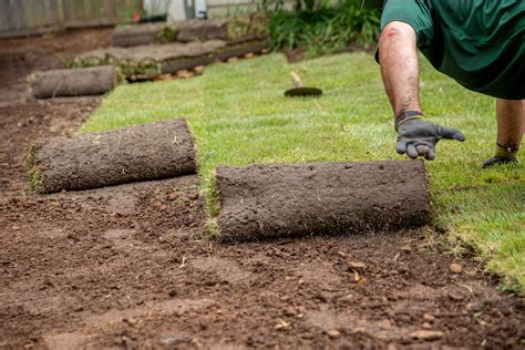 Essential Steps for Proper Lawn Preparation