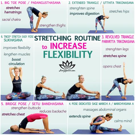 Essential Stretches to Enhance Flexibility