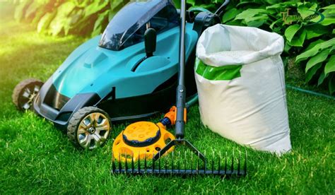 Essential Tips for Maintaining a Thriving Lawn