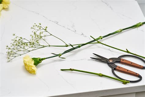 Essential Tools and Materials for Crafting Exquisite Floral Arrangements: A Comprehensive Guide