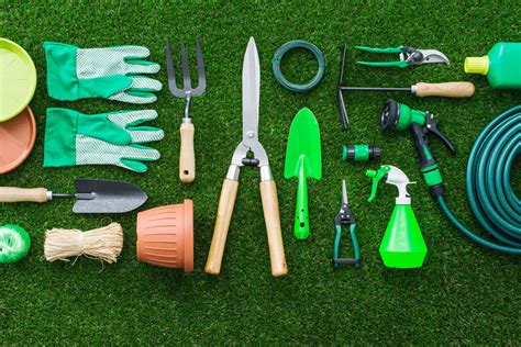 Essential Tools and Supplies for a Successful Vegetable Garden