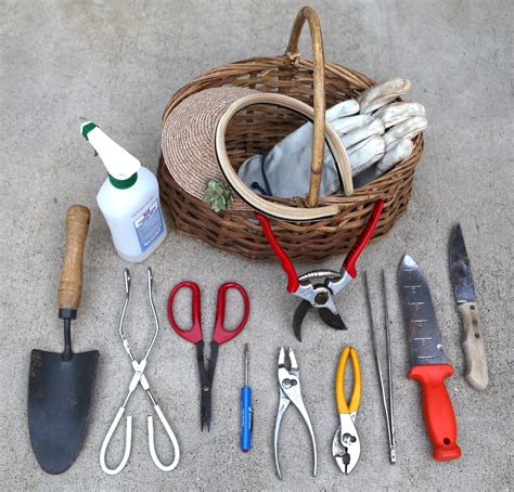 Essential Tools for Harvesting Succulent Cherries: Must-Haves in Your Toolkit