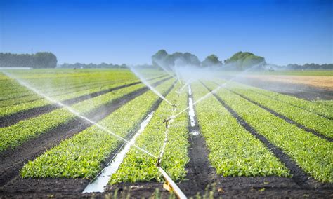 Establishing and Maintaining Proper Irrigation Systems