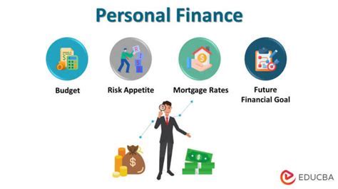 Estimating Amilli Monroe's Financial Assets