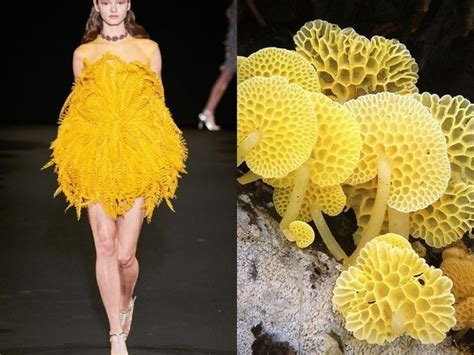 Ethical and Sustainable Aspects of Fungi-inspired Fashion