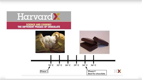 Evolution of Chocolate: Changing Trends and Preferences
