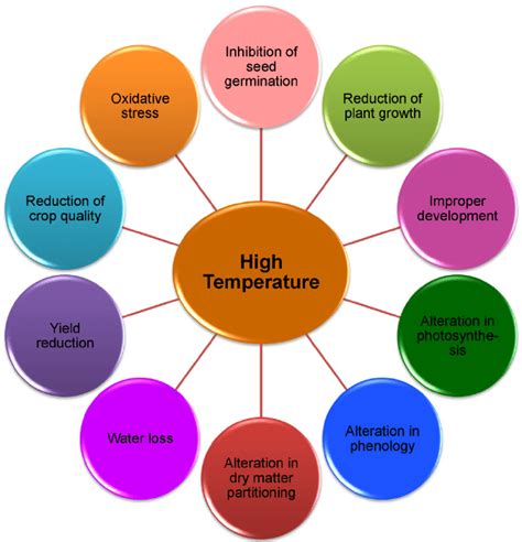 Examining the Connection with the Individual Affected by a High Temperature