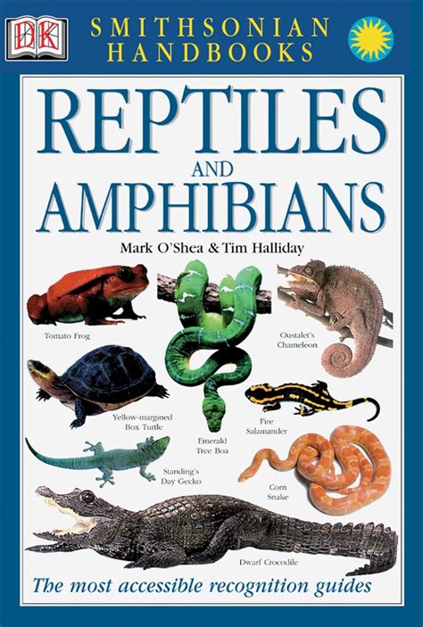 Examining the Cultural and Historical Associations of Reptiles and Pregnancy