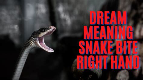 Examining the Potential Warning or Protection Significance in Snake Biting Another Snake Dreams