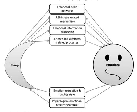 Examining the Processing Mechanisms of Emotional Memories during Sleep