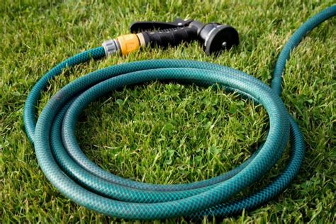 Examining the Symbolic Representation of Emotional Cleansing in Water Hose Dreams