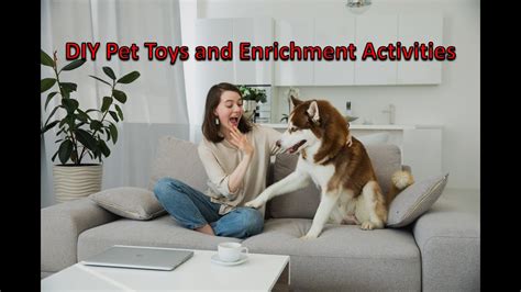 Exercise and Enrichment: Exciting Activities for Keeping Your Furry Friend Active and Engaged