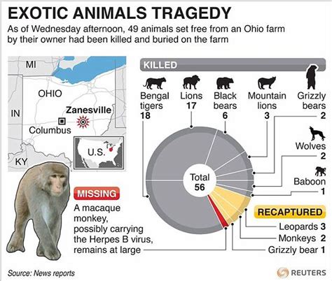 Exotic Animal Ownership: A Risky Pursuit?