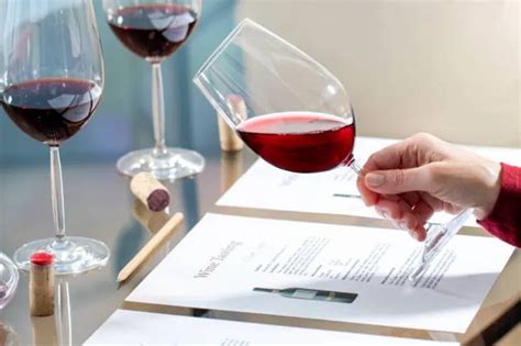 Expanding Your Wine Knowledge: Valuable Resources and Educational Programs for Wine Enthusiasts