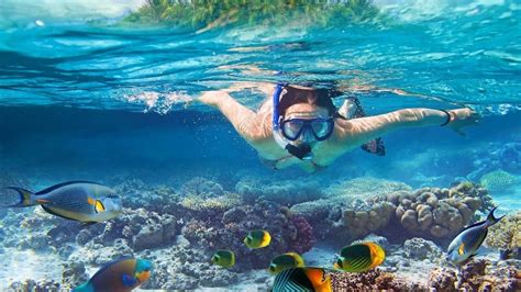 Experience the Thrill: Snorkeling in Pristine Aquatic Environments