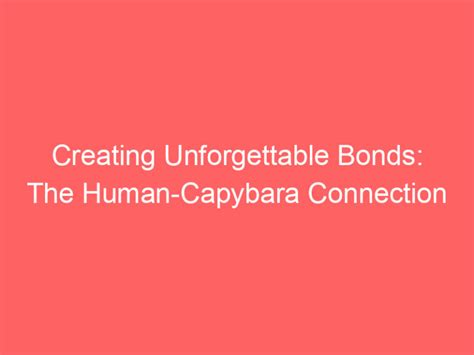 Experience the Unforgettable Bond of Human Connection