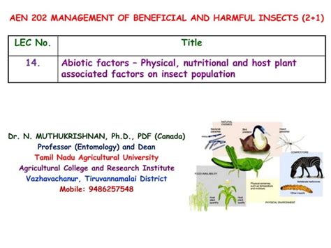 Exploration of Environmental Factors and Their Influence on Mosquito Populations