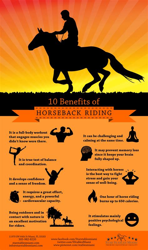 Explore the Benefits of Horseback Riding