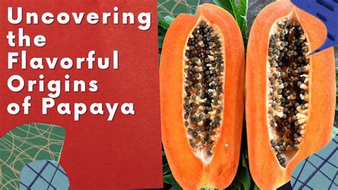 Explore the Fascinating Origin of Papaya