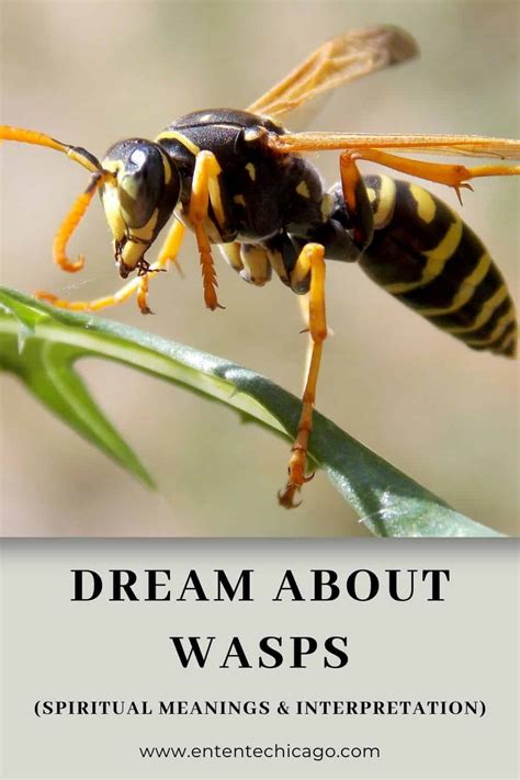 Explore the Significance of Dreams Involving Bees and Wasps