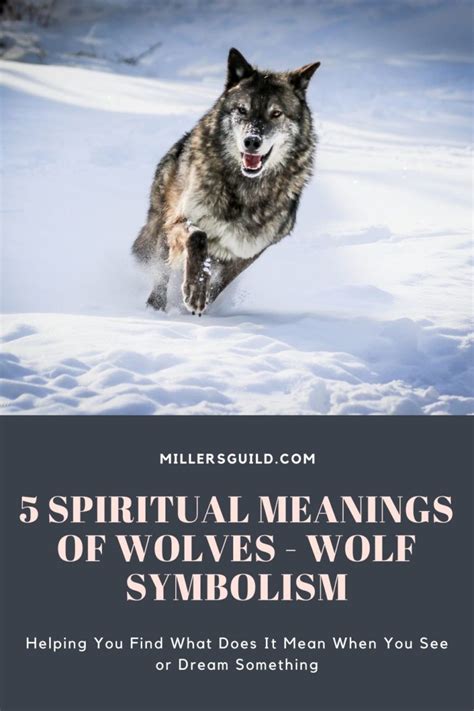 Explore the Symbolism of Wolves in Various Cultures