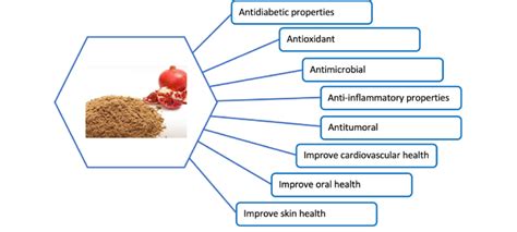 Explore the Therapeutic Effects of Pomegranate Extracts