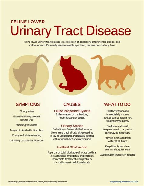 Exploring Approaches to Address Recurring Feline Urine Reveries