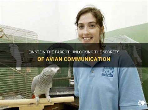 Exploring Avian Psychology: Unlocking the Secrets to Optimal Avian Welfare