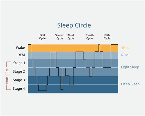 Exploring Behavioral Patterns and Sleep Cycles of Marine Creatures