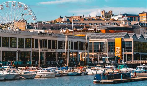 Exploring Bristol's Impressive Height and Figure