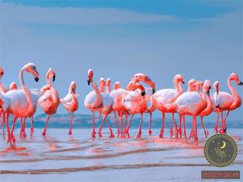 Exploring Common Dream Scenarios Involving Majestic Flamingos and Their Profound Symbolism