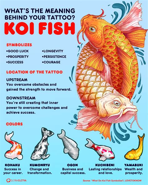 Exploring Common Dream Symbols with Koi Fish