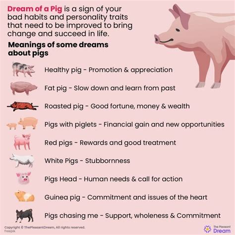 Exploring Common Themes and Motifs in Dreams Involving Pigs