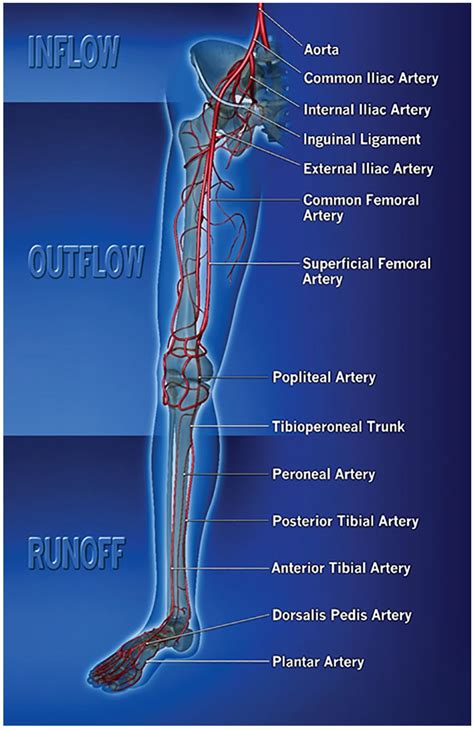 Exploring Common Themes and Variations in Dreams About Surgical Procedures on the Lower Extremities