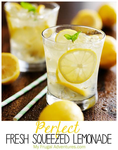 Exploring Culinary Delights: From Refreshing Lemonade to Delectable Lemon-based Recipes