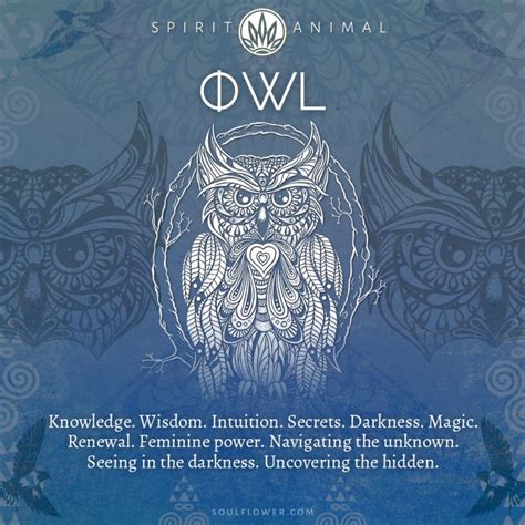 Exploring Cultural Interpretations and Significance of Owl Symbolism