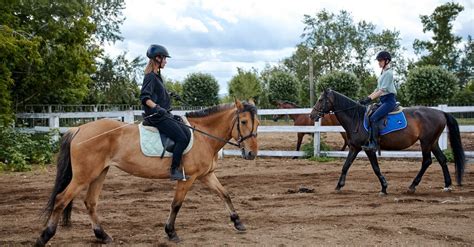 Exploring Cultural Significance and Folklore Surrounding Chestnut Equines in Reveries