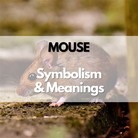 Exploring Cultural Symbolism: Mice in Folklore and Mythology