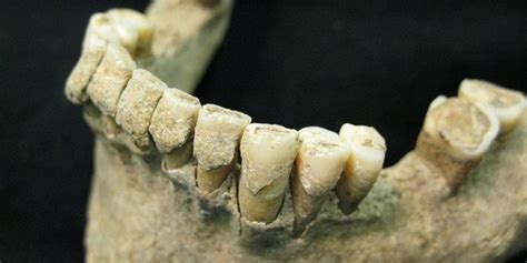 Exploring Cultural and Historical Perspectives on Dental Traditions and the Notion of Mortality