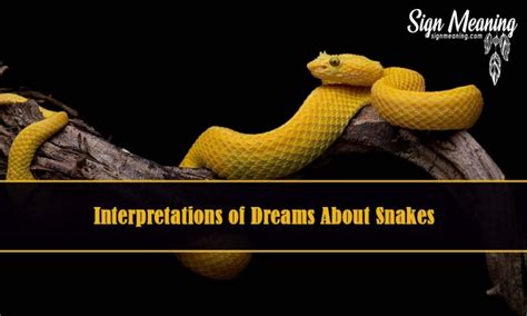 Exploring Deeper into Snake Dreams: Practical Approaches to Interpretation and Processing